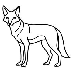Coyote Silhouette Clean Line Vector Art