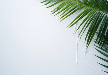 Fototapeta premium Lush Green Palm Leaves on Light Background with White String Accents for Minimalist and Nature-Inspired Design Elements