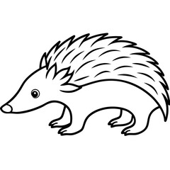 Elegant One-Line Echidna Vector Illustration