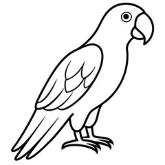 Elegant Parrot One-Line Illustration