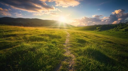 Fototapeta premium Scenic Path through Lush Green Meadow Towards Sunlight