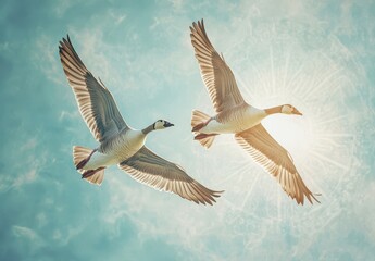 Obraz premium Majestic Geese Flying Against a Bright Sky with Radiant Sunlight, Capturing the Beauty of Nature and Freedom in Motion
