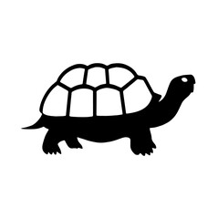 Black Turtle Shell Vector