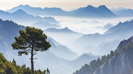 Obraz premium Breathtaking Mountain Valley Filled with Rolling Fog and Peaks