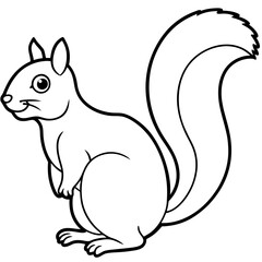 Elegant Squirrel Line Drawing Vector