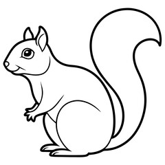 Elegant Squirrel Line Drawing Vector
