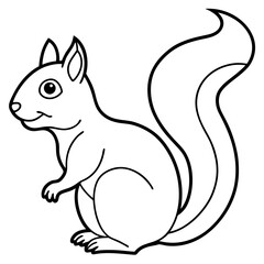 Elegant Squirrel Line Drawing Vector