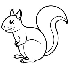 Elegant Squirrel Line Drawing Vector