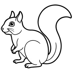 Elegant Squirrel Line Drawing Vector