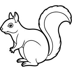 Elegant Squirrel Line Drawing Vector