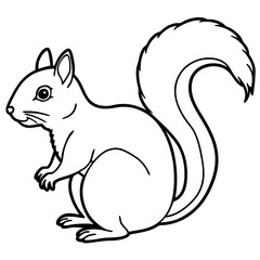 Elegant Squirrel Line Drawing Vector