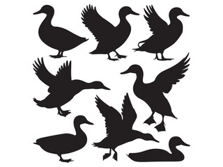 Obraz premium vector silhouettes of ducks