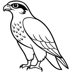 Falcon in a Single Line
