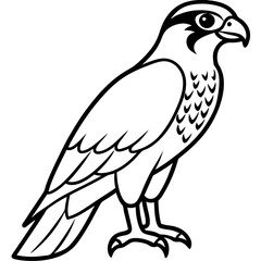 Falcon in a Single Line