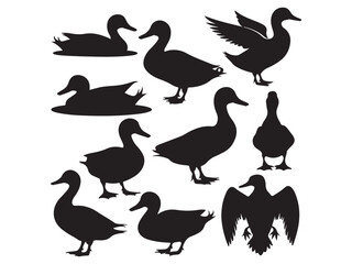 Obraz premium vector silhouettes of ducks