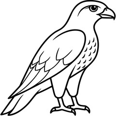 Falcon in a Single Line