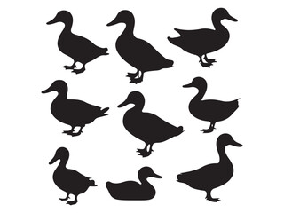vector silhouettes of ducks