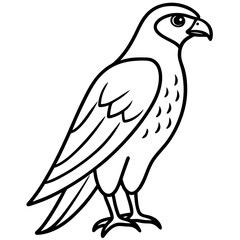 Falcon in a Single Line