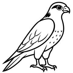 Falcon in a Single Line