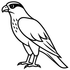 Falcon in a Single Line