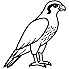 Falcon in a Single Line