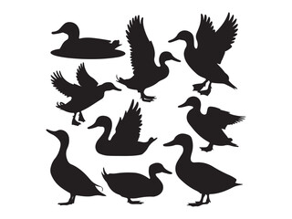 vector silhouettes of ducks