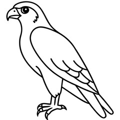Falcon in a Single Line