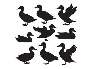 vector silhouettes of ducks