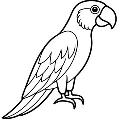 Falcon in a Single Line