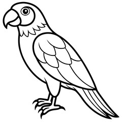 Falcon in a Single Line