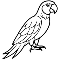 Falcon in a Single Line