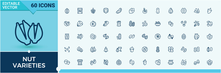 Nut Varieties modern icons set. Featuring brazil, health, pumpkin seeds, corn, nuts, soy and more. Sign and Symbol. Minimalist solid editable vector stroke. © Rubbble
