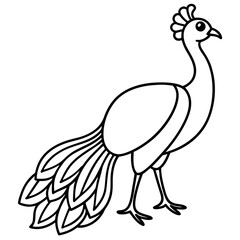 One-Line Peacock Sleek Vector Illustration