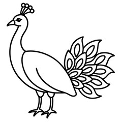 One-Line Peacock Sleek Vector Illustration