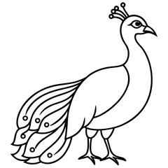 One-Line Peacock Sleek Vector Illustration
