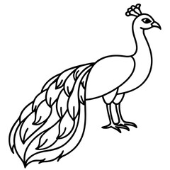 One-Line Peacock Sleek Vector Illustration