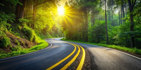 Obraz premium Winding Asphalt Road, Yellow Lines, Forest Curve - Nature Driveway Stock Photo