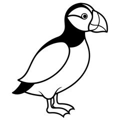 Puffin in a Single Stroke Vector