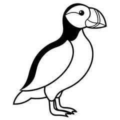 Puffin in a Single Stroke Vector