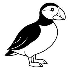 Puffin in a Single Stroke Vector