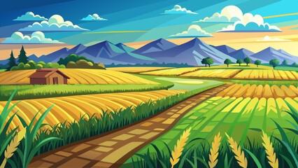 Obraz premium Ripe rice field and sky landscape on the farm