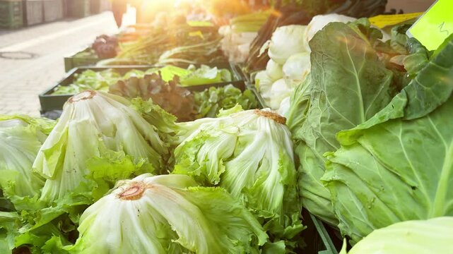 Fresh vegetables on a local street market, stock footage video 4k