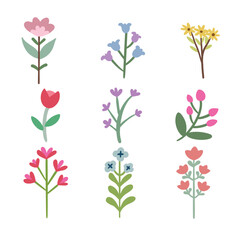 Simplicity in Bloom Collection of Simple Flower Arrangements