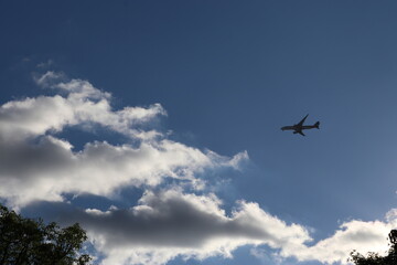 飛行機