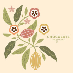 Cocoa bean illustration. Vintage style design template. chocolate cocoa beans. Vector illustration