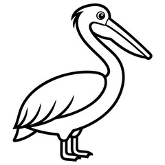 Single Line Pelican Vector Artwork