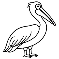 Single Line Pelican Vector Artwork