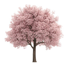 Obraz premium 3D Rendered Pink Cherry Blossom Tree Isolated on Transparent Background, Spring Nature, Floral Design, Cherry blossom, Spring tree, Floral