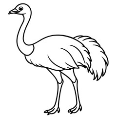 Sleek Ostrich Outline in Vector Style