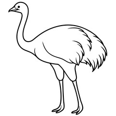 Sleek Ostrich Outline in Vector Style